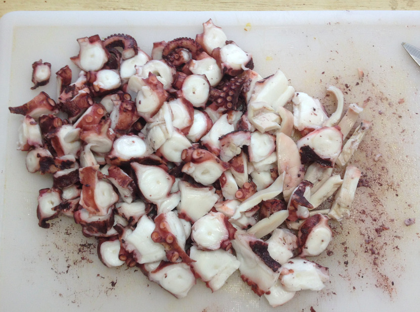 _images/octopus_slices.jpg