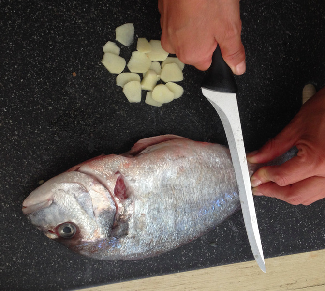 _images/sea_bream_lateral_cuts.jpg