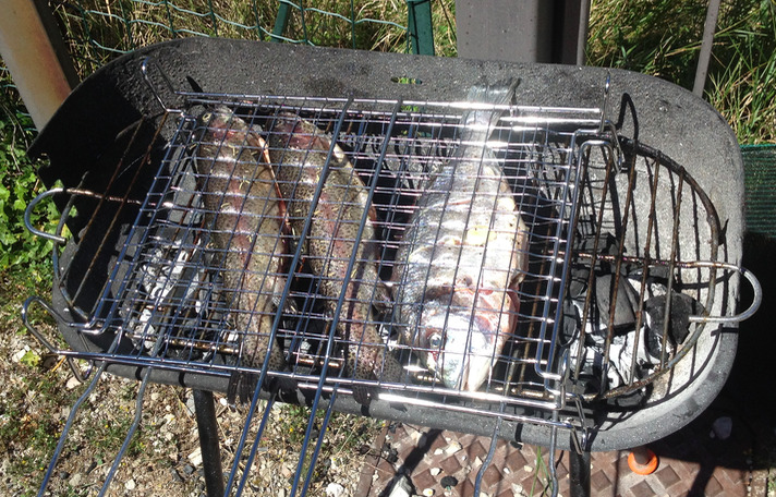 _images/trout_and_sea_bream_on_barbeque_early.jpg