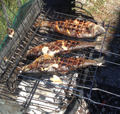 _images/trout_and_sea_bream_on_barbeque_late.jpg